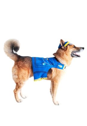 DISFRAZ PAW PATROL CHASE MASCOTAS Azul