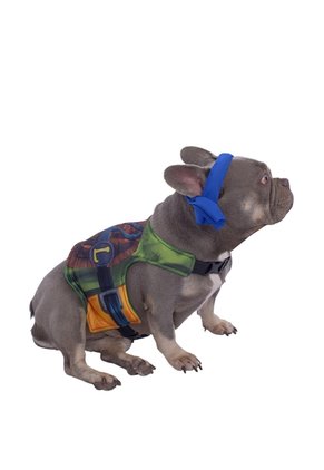 DISFRAZ TORTUGA NINJA MASCOTA RAZAS PEQUEÑAS Verde