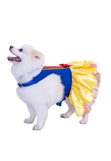 DISFRAZ PRINCESS MASCOTAS RAZAS PEQUEÑAS Amarillo