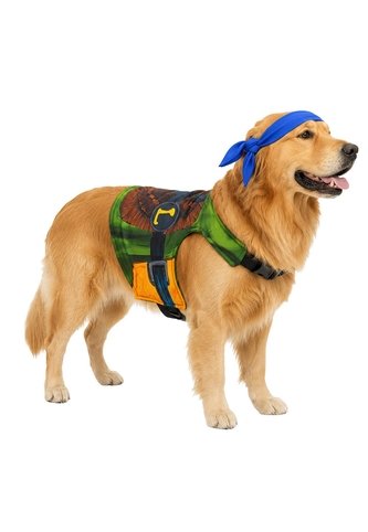 DISFRAZ TORTUGA NINJA MASCOTA RAZAS GRANDES Verde Fantastic Night