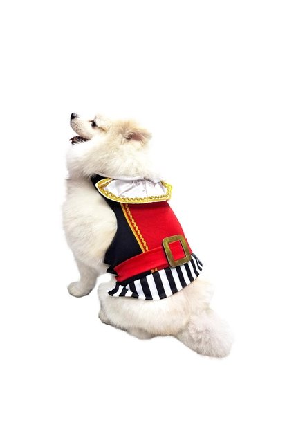 DISFRAZ PIRATA MASCOTAS Rojo