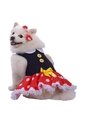 DISFRAZ RATONCITA MASCOTAS RAZAS PEQUEÑAS Rojo de Fantastic Night