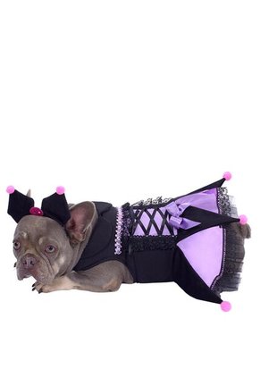 DISFRAZ CONEJITA GOTICA MASCOTA RAZAS PEQUEÑAS Purpura