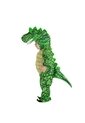 DISFRAZ DINOSAURIO BEBE Verde de Fantastic Night