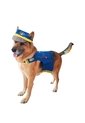 DISFRAZ PAW PATROL CHASE MASCOTAS RAZAS GRANDES Azul de Fantastic Night