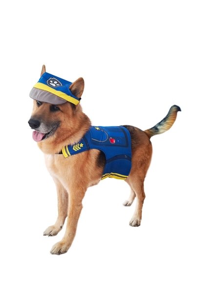DISFRAZ PAW PATROL CHASE MASCOTAS RAZAS GRANDES Azul
