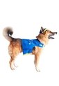 DISFRAZ PAW PATROL CHASE MASCOTAS RAZAS GRANDES Azul de Fantastic Night