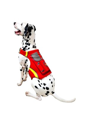 DISFRAZ PAW PATROL MARSHALL MASCOTAS Rojo