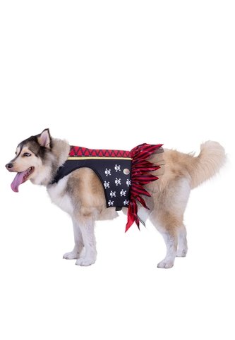 DISFRAZ PIRATA MASCOTAS RAZAS GRANDES Rojo Fantastic Night