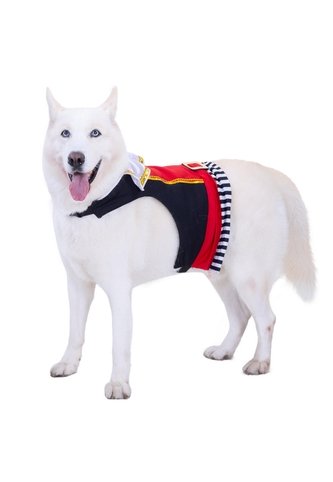 DISFRAZ PIRATA MASCOTAS RAZAS GRANDES Rojo Fantastic Night