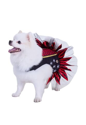 DISFRAZ PIRATA MASCOTAS Rojo Fantastic Night