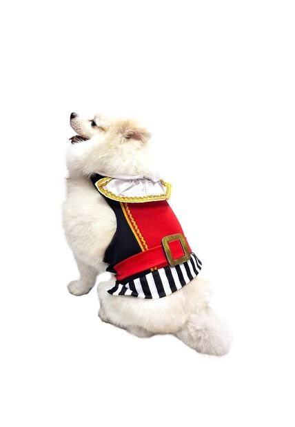 DISFRAZ PIRATA MASCOTAS Rojo