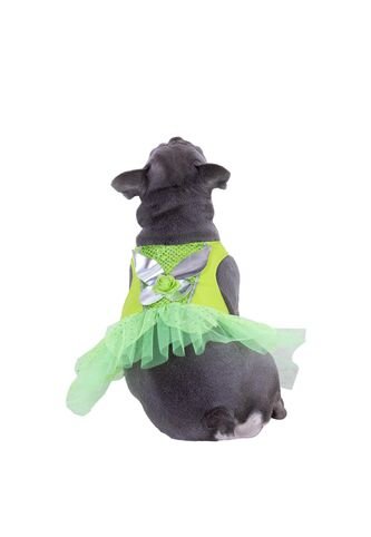 DISFRAZ HADA MASCOTAS Verde Fantastic Night