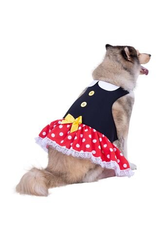 DISFRAZ RATONCITA MASCOTAS Rojo Fantastic Night