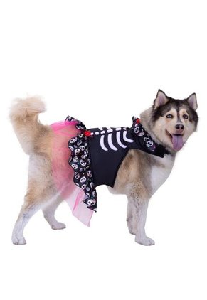 DISFRAZ CATRINA MASCOTAS Negro