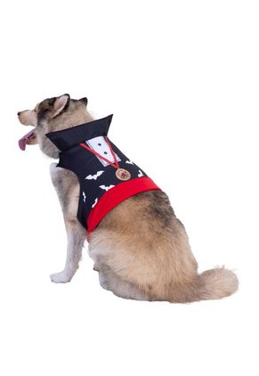 DISFRAZ DRACULA MASCOTAS Negro