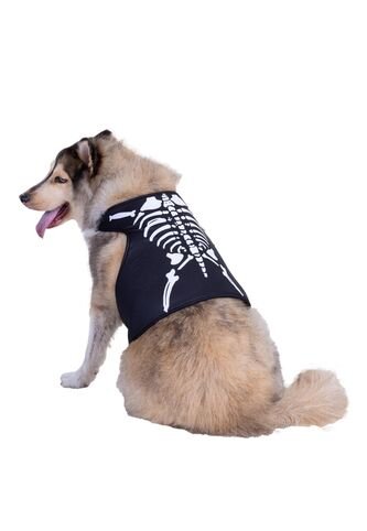 DISFRAZ ESQUELETO MASCOTAS Negro Fantastic Night