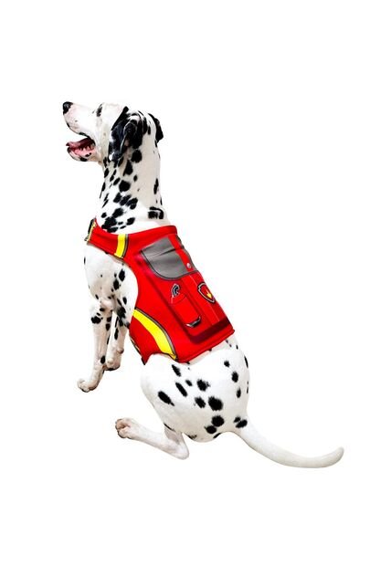 DISFRAZ PAW PATROL MARSHALL MASCOTAS Rojo