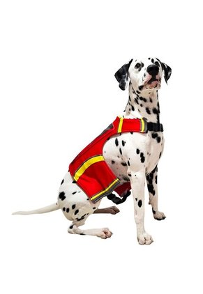 DISFRAZ PAW PATROL MARSHALL MASCOTAS Rojo