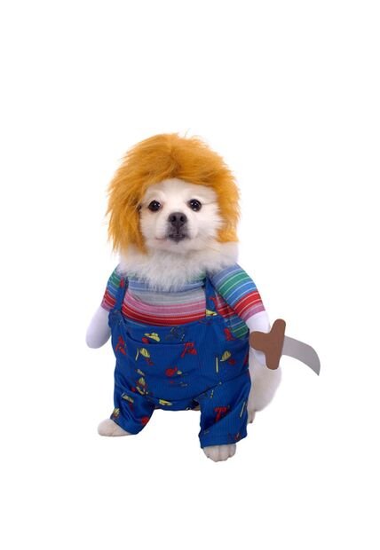 DISFRAZ CHUCKY MASCOTA RAZAS PEQUEÑAS Azul