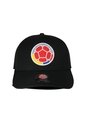 Gorra Oficial FCF Selección Colombia Clásica FCFD-0126 Negro de FCF