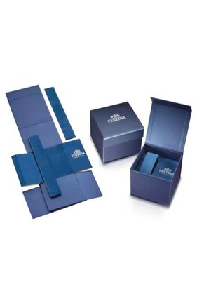 Reloj Para Hombre Festina Timeless Chrono F20560/1 Plateado