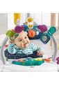 Fisher Price Silla Saltarina Diversión Espacial de Fisher Price