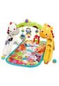 Fisher Price Gimnasio Etapas Crece Conmigo de Fisher Price