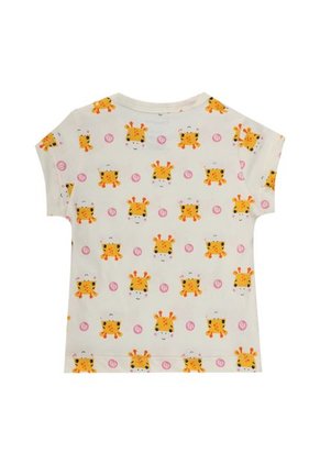 FI148AT91DFWCO-4107655