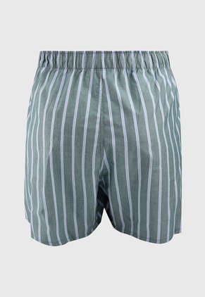 Bóxer Verde-Azul GAP