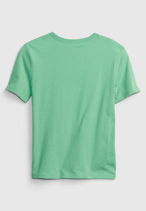 Camiseta Verde Manzana-Blanco GAP Kids