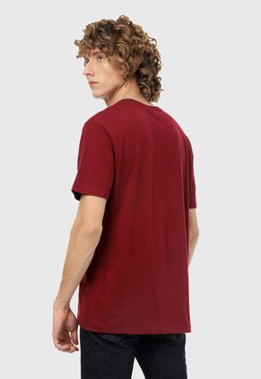 Camiseta Vinotinto-Azul GAP