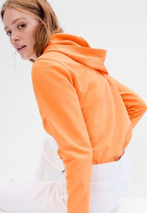 Hoodie Naranja-Gris-Blanco GAP