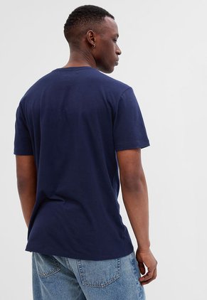 Camiseta Azul Navy-Blanco-Rojo GAP
