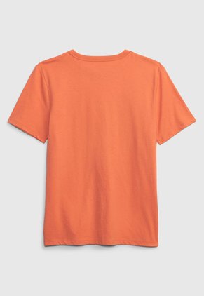 Camiseta Naranja-Celeste-Amarillo GAP Kids