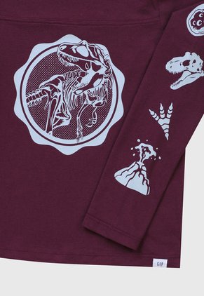 Camiseta Manga Larga Violeta-Celeste GAP Kids