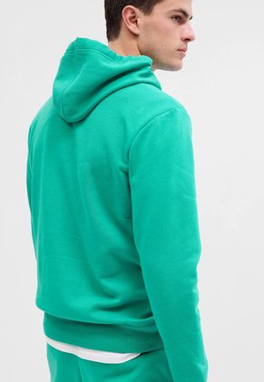Hoodie Verde-Azul Navy GAP