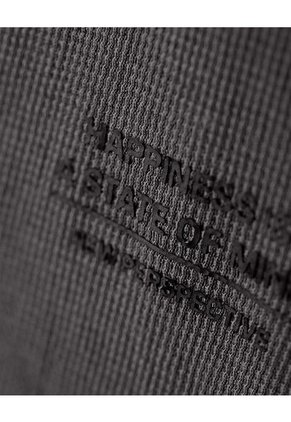 Camiseta Regular Algodón Gris Niño Gris