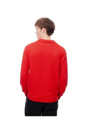 Buzo Tipo Polo Regular Tejido De Punto Rojo Hombre Rojo