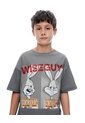 Camiseta Regular Manga Corta Gris Gris de Gef