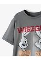 Camiseta Regular Manga Corta Gris Gris de Gef