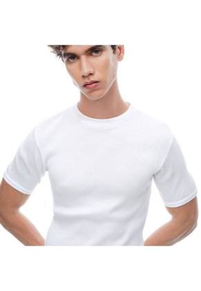 CAMISETA GEF HOMBRE LOMBARDINI Talla L