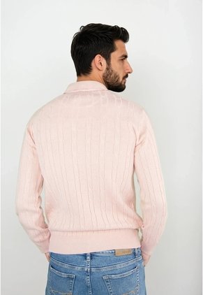 Camisa Thiago - Palo De Rosa - Giive
