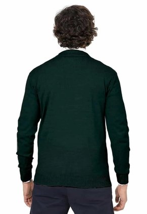 Buzo Cuello V - Verde - Giive