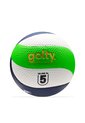 Balon Voleibol Profesional Golty Tributo No.5-Verde de GOLTY