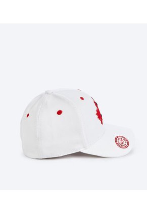 Gorra Para Hombre Con Bordado Groggy