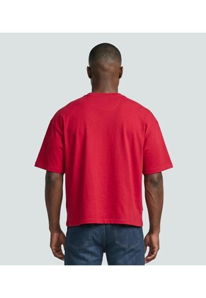 Camiseta Para Hombre Groggy