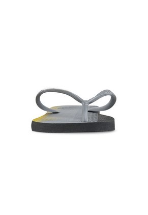 Sandalias Miami Gris Para Hombre Havaianas