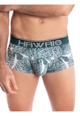 Bóxer Brief Hawai Verde Hawai