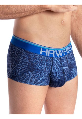 Bóxer Brief Hawai Azul Rey Hawai